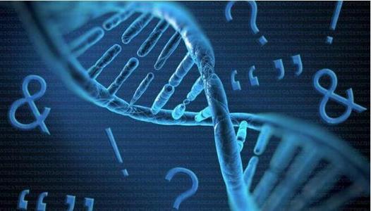 上戶口親子鑒定流程有那些呢？